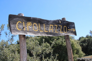 Cipollazzo